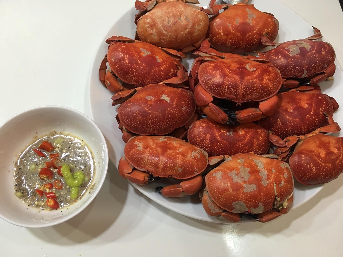 Du lịch Cô Tô - Cù Kỳ