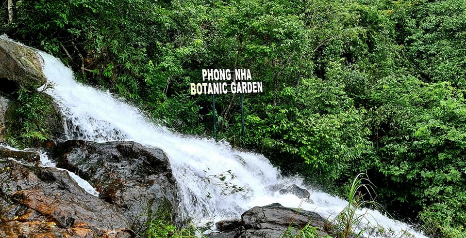 phong nha kẻ bàng - vườn thực vật phong nha